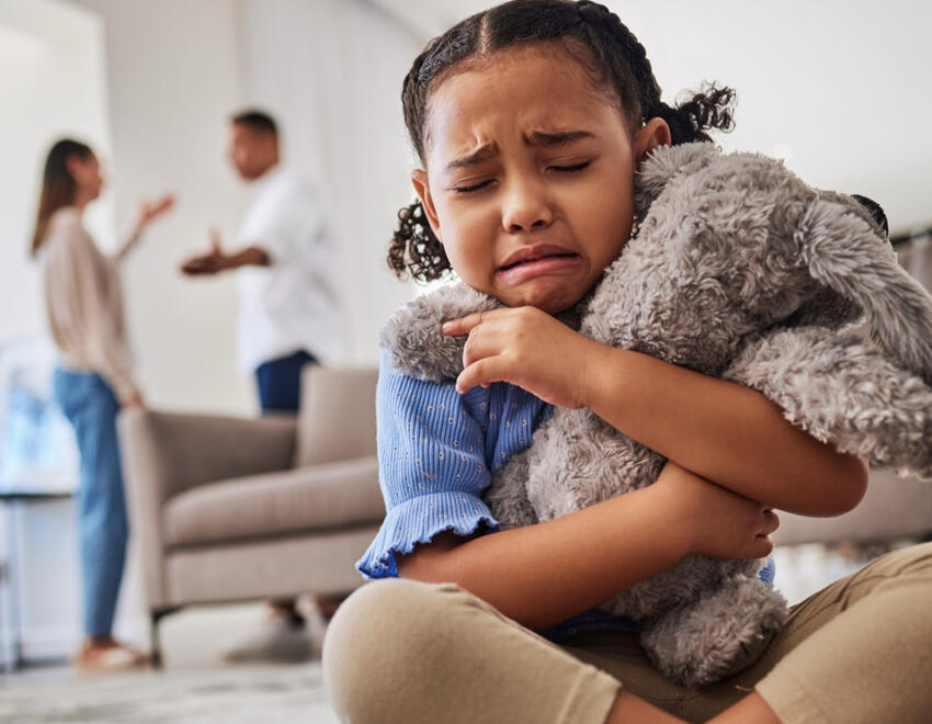 Family Law Investigation